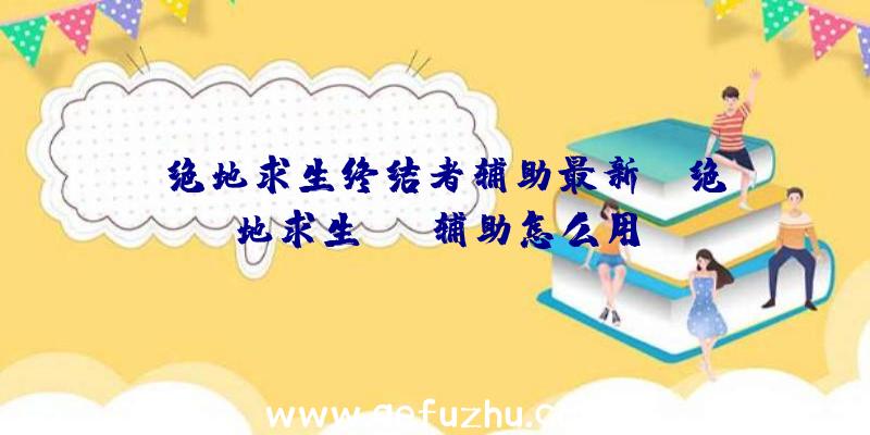 「绝地求生终结者辅助最新」|绝地求生max辅助怎么用
